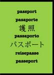 Inventive Travelware Multi Language FUchsia Travel Wallet