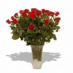 36 Roses In A Vase