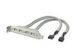 Gigabyte 10-pin 4-port USB 2.0 cable