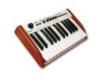 Arturia The Player 25 Key Compact Controller