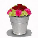 Buckets Of Love