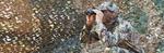 Sniper Africa Camo Netting
