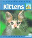 Kittens (Baby Animals)