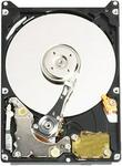 Western Digital Scorpio Blue 320GB IDE Hard Drive