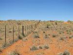 Farm In Upington Northern Cape