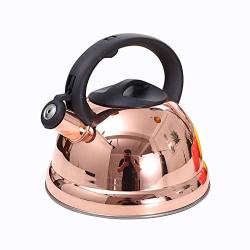 Agye Induction Whistling Kettle Stainless Steel Teapot With Cool Toch Ergonomic Handle A-3LITERS