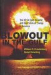 Blowout in the Gulf: The BP Oil Spill Disaster and the Future of Energy in America
