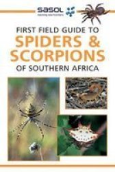First Field Guide To Spiders & Scorpions Of Southern Africa