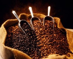 Ethiopian Yirgacheffe Washed Grade 1 Coffee Beans Unroasted Green Beans 5 Pounds Whole Beans