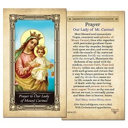 Our Lady Of Mount Carmel Laminated Holy Card - Pack Of 10