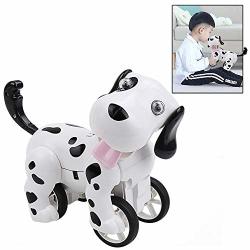 remote controlled pet toy