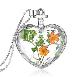 Women Dry Flower Heart Glass Wishing Bottle Pendant Necklace By Topunder