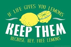 If Life Gives You Lemons Keep Them Because Hey Free Lemons Humor Poster 18X12 Inch