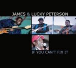 If You Can& 39 T Fix It Cd