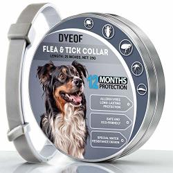 Dyeof Flea Tick Collar For Dogs - 12 Months Protection - Hypoallergenic Adjustable & Waterproof Dog Collar - Flea Treatment Tick Prevention Natural Essential Oil Upgrade Version