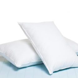 Lifson Fine Fibre Premium Standard Pillow