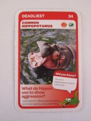 Common Hippopotamus - Pick N Pay Super Animals Trading Card