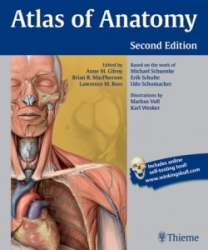 Atlas Of Anatomy 2nd Edition - Gilroy