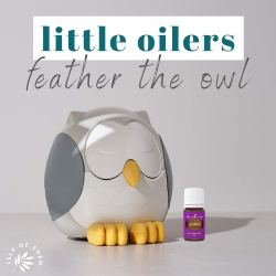 Diffuser Feather The Owl Cool Mist Humidifier White Noise Mashine Night Light