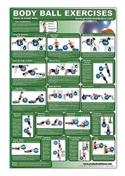 Laminated Fitness Ball Poster - Upper & Lower Body Exercises - Created By University Accredited Fitness Experts - Stability Ball Exercises For Legs ... - Tone And Tighten Arms Chest And Back
