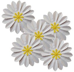 10x White And Yellow Flowers