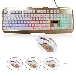 WMG/&GYJ Gaming Mouse and Keyboard,Full Sized Keyboard Ergonomic Keyboard and Mouse Combo for Windows USB Charging Light Keyboard