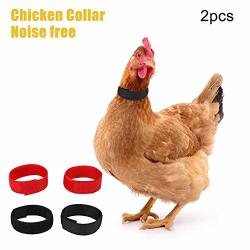 Pranovo 2 Pack Anti Crow Rooster Collar No Crow Noise Neck Belt For Roosters Coc 