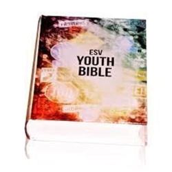 Esv Youth Bible