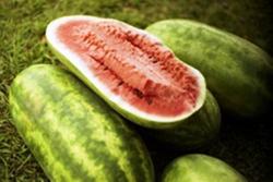 Allsweet Watermelon Seeds 10