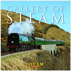 Haynes H4979 Gallery Of Steam