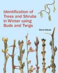 Identification Of Trees And Shrubs In Winter Using Buds And Twigs Hardcover Translated Ed.