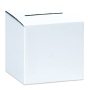 Bundle of 10 White 10 Length x 10 Width x 9-10 Height Aviditi MBALLOT Corrugated Ballot Box Bundle of 10 White 10 Length x 10 Width x 9-10 Height Aviditi MBALLOT Corrugated Ballot Box
