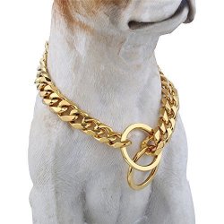 dog collar price