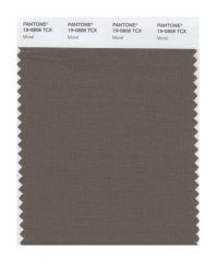 PANTONE SMART 19-4033 TCX Color Swatch Card, Poseidon