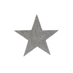 Polystyrene Silver Star - 9CM