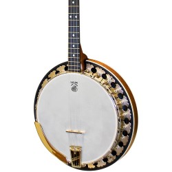 Deering Boston Plectrum Banjo
