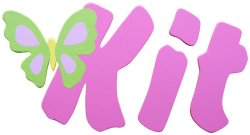 Pink & Lime Butterfly Wooden Alphabet Letters