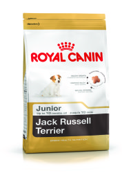 Jack Russell Junior - 1.5KG