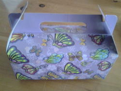 Party Boxes -5 Per Pack - Butterfly Was R25 Now R10