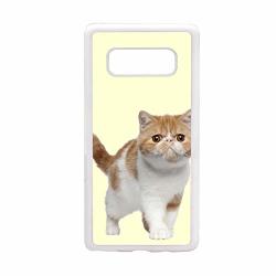 Babu Building Cases PC Printing Shorthair Cat For Womon Fascinating Use As Samsung S10 Plus