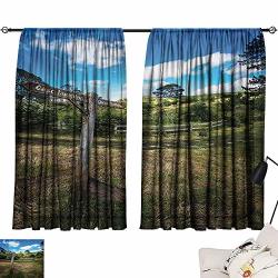 Ediyuneth Teal Curtains Hobbits Rustic Wooden Sign In Hobbit Land East West Movie Set New Zealand The Shire Green Brown 84"X96" Blackout Patio Door