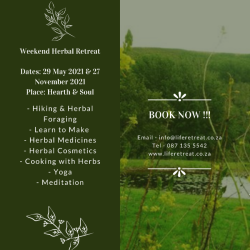 Herbal Healing Day - Day Experience Per Person