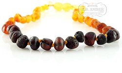 Certified Baltic Amber Teething Necklace - Pop Clasp 3 Sizes R.b. Amber & Sons 12-13 Inches - Pop Clasp Unpolished Rainbow Baroque