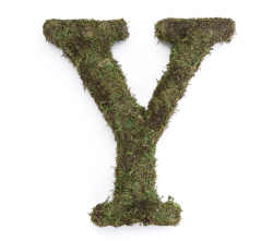 Large 15 Inch Moss Monogram - Y