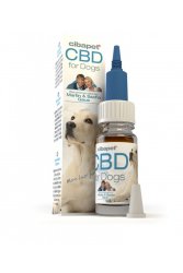 Cbd Oil For Dogs 2% South Africa