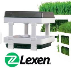 Lexen HealthySprouter for Wheatgrass & Sprouts