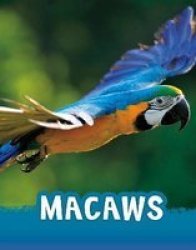 Macaws Hardcover