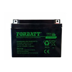 Forbatt 12V-24AH Sealed Lead Acid Gel Battery
