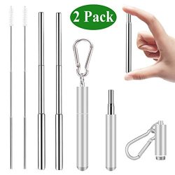 Senneny 2 Pack Telescopic Reusable Straws Stainless Steel Metal Drinking Straw Portable Collapsible Straw With Travel Case Cleaning Brush Keychain Silver & Silver