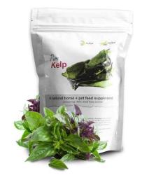 Kelp Powder Supplement